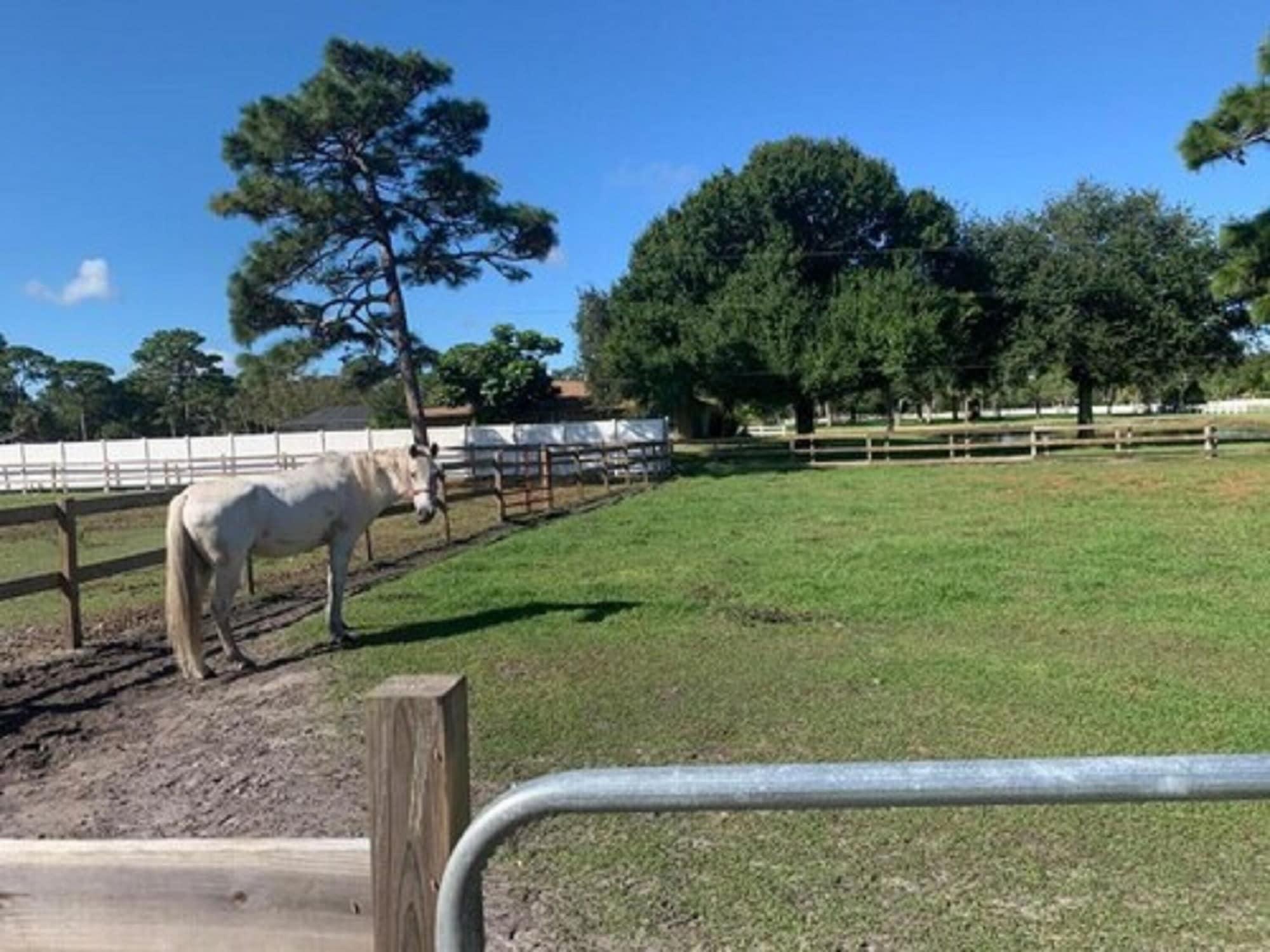 Отель Oyo Family Ranch At Melbourne Fl Экстерьер фото